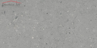 Керамогранит Гранитея Аркаим серый G 213 MR (60х120) матовый